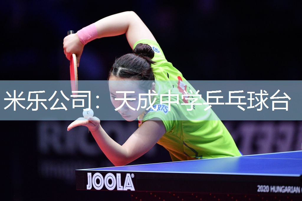 米乐公司:天成中学乒乓球台