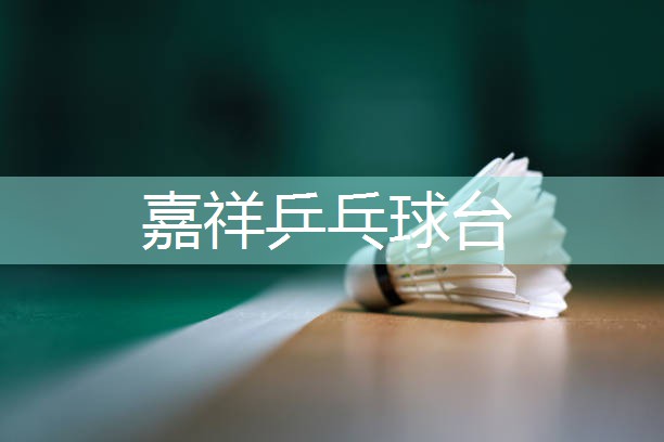 嘉祥乒乓球台