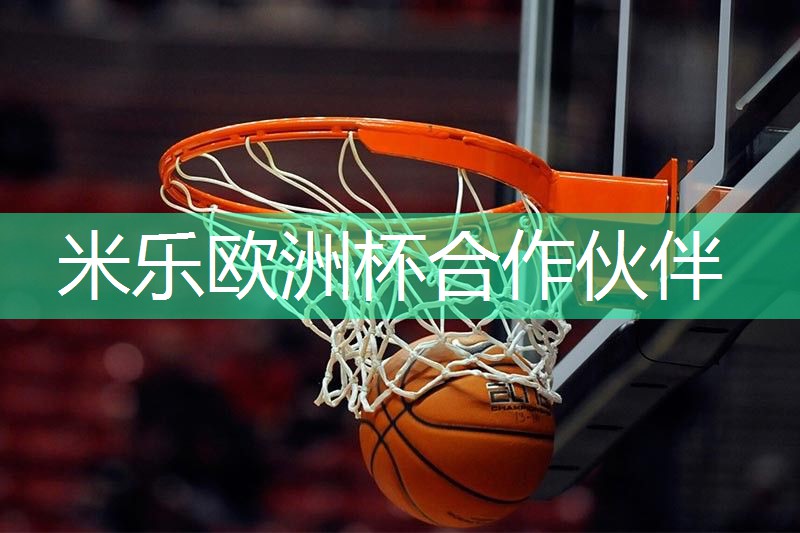 关于所有篮球训练的器材
